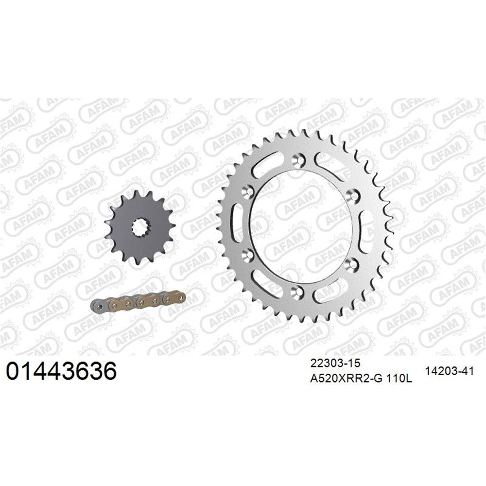 AFAM AF01443636 A520XRR3-G 110L Chain & 15-41T Steel Sprocket Kit for Suzuki DR-Z400 SM 05-09
