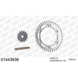 AFAM AF01443636 A520XRR3-G 110L Chain & 15-41T Steel Sprocket Kit for Suzuki DR-Z400 SM 05-09