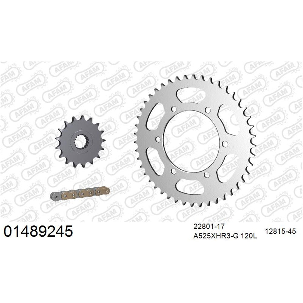 AFAM AF01489245 A525XHR3-G 120L Chain & 17-45T Steel Sprocket Kit for Suzuki GSX-R1000 17-23