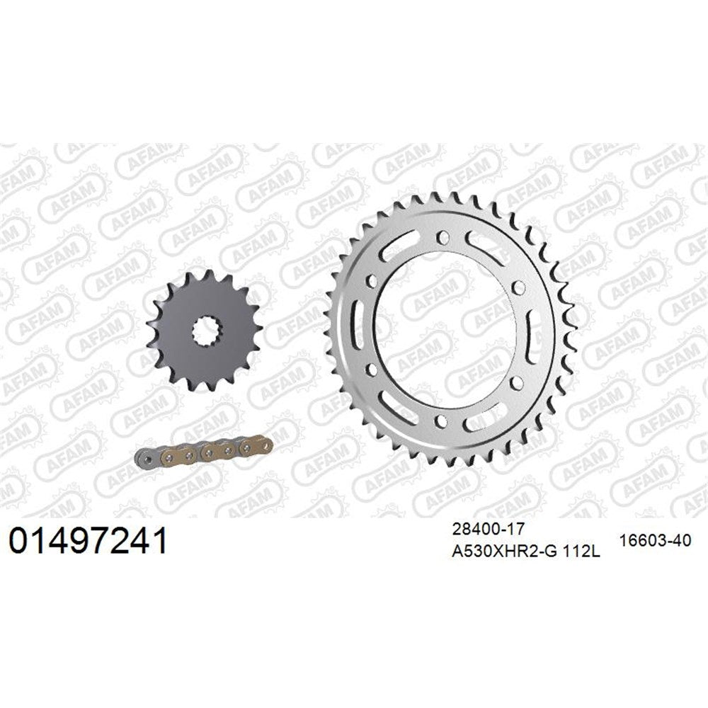 AFAM AF01497241 A530XHR2-G 112L Chain & 17-40T Steel Sprocket Kit for Suzuki GSX1300R Hayabusa 99-07