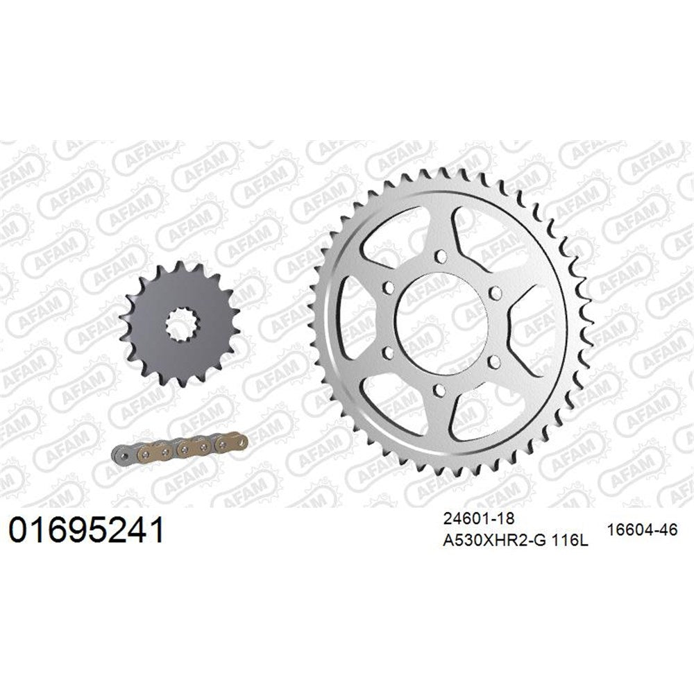 AFAM AF01695241 A530XHR2-G 116L Chain & 18-46T Steel Sprocket Kit for Kawasaki ZX-12R Ninja 00-06