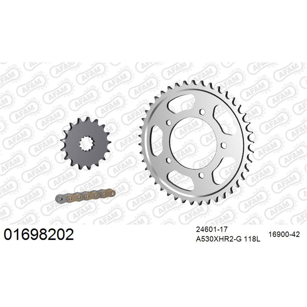 AFAM AF01698202 A530XHR2-G 118L Chain & 17-42T Steel Sprocket Kit for Kawasaki ZX-14 (ZZR1400) ABS 12-20