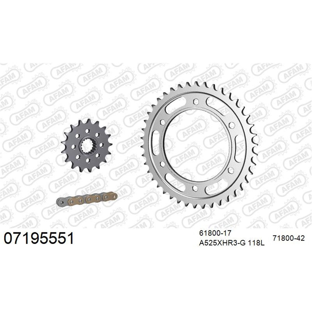 AFAM AFKIT100131 A525XHR3-G 118L Chain & 17-42T Steel Sprocket Kit for BMW F 750/F 850/F 900 17-25
