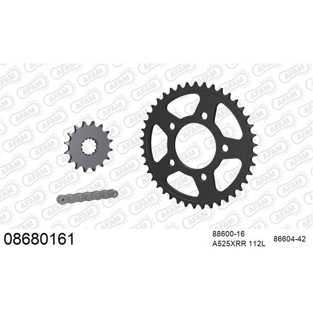 AFAM AFKIT100981 A525XMR3 112L Chain & 16-42T Steel Sprocket Kit for Honda CB300/CBR300 14-19