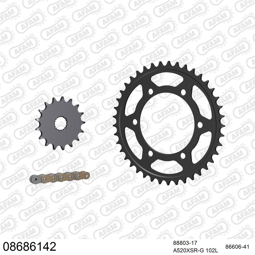 AFAM AFKIT101331 A520XSR-G 102L Chain & 17-41T Steel Sprocket Kit for Honda VFR800/X 02-14