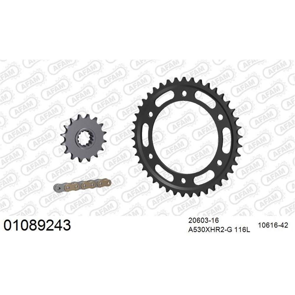 AFAM AFKIT101401 A530XHR2-G 116L Chain & 16-42T Steel Sprocket Kit for Honda CBR1000RA/RR/SP 08-16