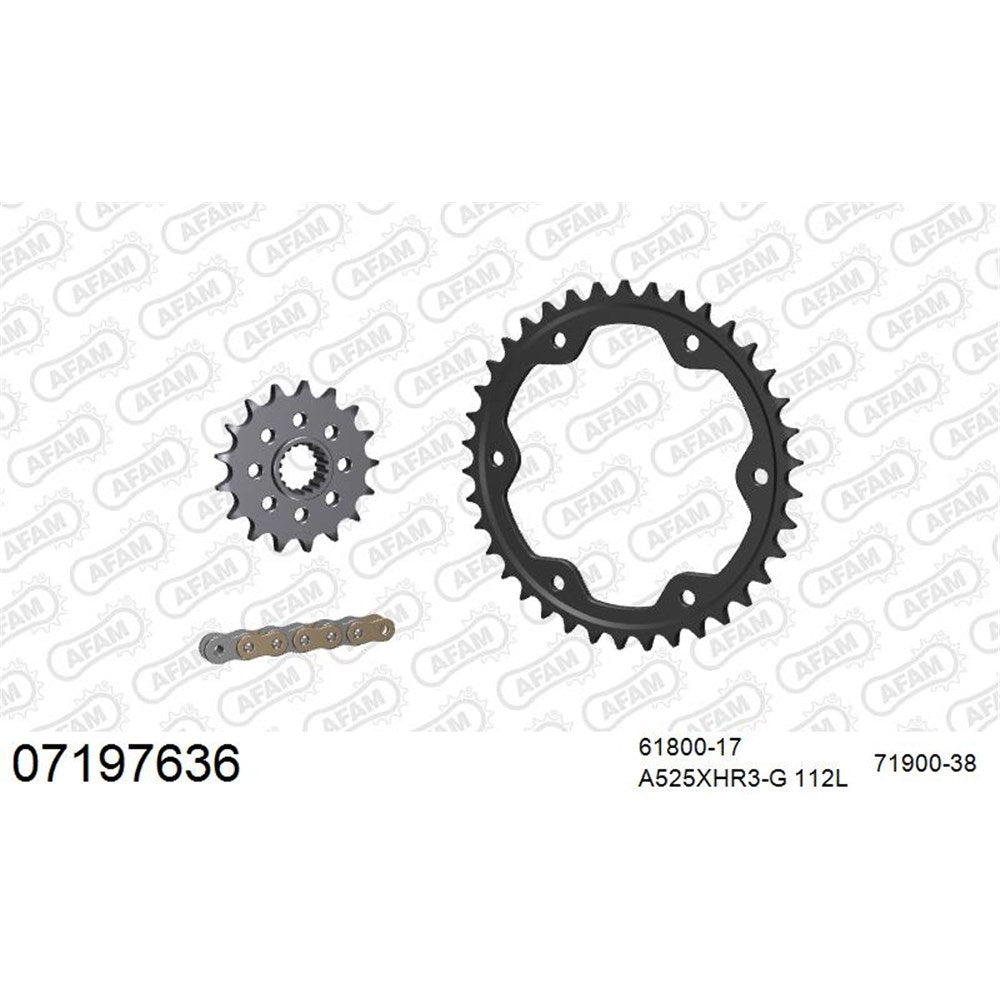 AFAM AFKIT101481 A525XHR3-G 112L Chain & 17-38T Steel Sprocket Kit for Honda CB650/CBR650 14-24