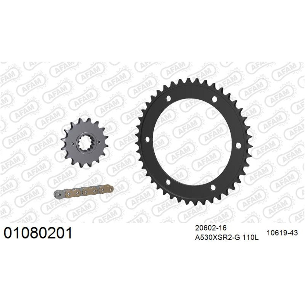 AFAM AFKIT102581 A530XSR2-G 110L Chain & 16-43T Steel Sprocket Kit for Yamaha FZ8 N/S 10-16