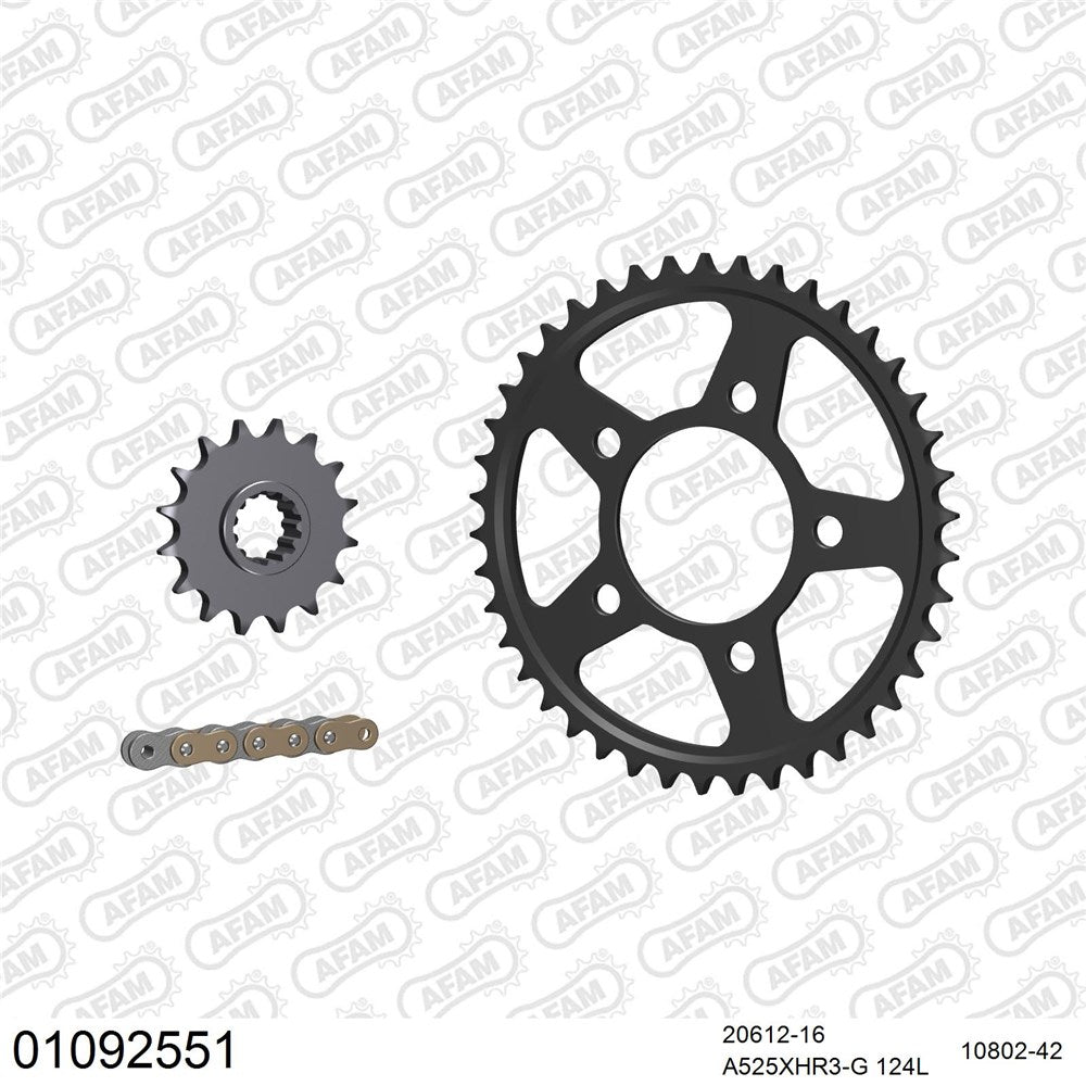 AFAM AFKIT102991 A525XHR3-G 124L Chain & 16-42T Steel Sprocket Kit for Suzuki GSX250R 17-20