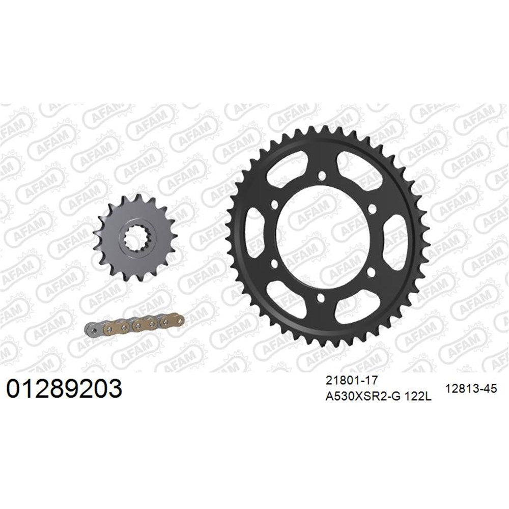 AFAM AFKIT103141 A530XSR2-G 122L Chain & 17-45T Steel Sprocket Kit for Suzuki GS500 94-08
