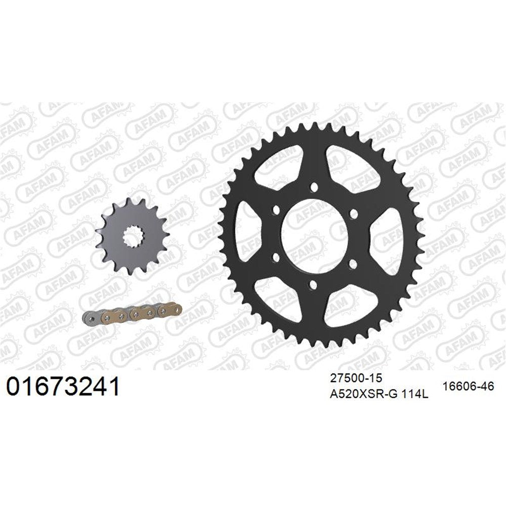 AFAM AFKIT103421 A520XSR-G 114L Chain & 15-46T Steel Sprocket Kit for Kawasaki Ninja 400 18-23