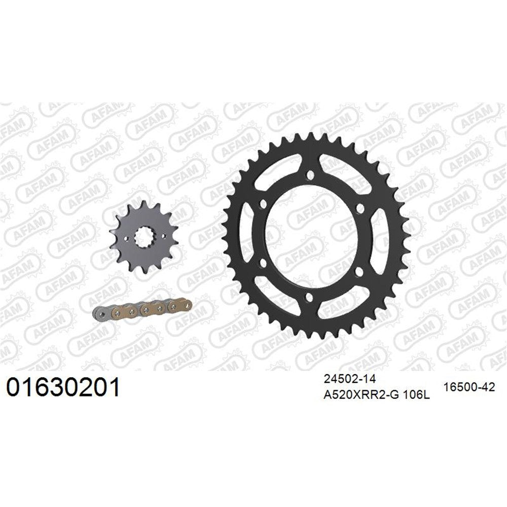 AFAM AFKIT103431 A520XRR3-G 106L Chain & 14-42T Steel Sprocket Kit for Kawasaki Ninja 300 13-16