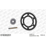 AFAM AFKIT103431 A520XRR3-G 106L Chain & 14-42T Steel Sprocket Kit for Kawasaki Ninja 300 13-16