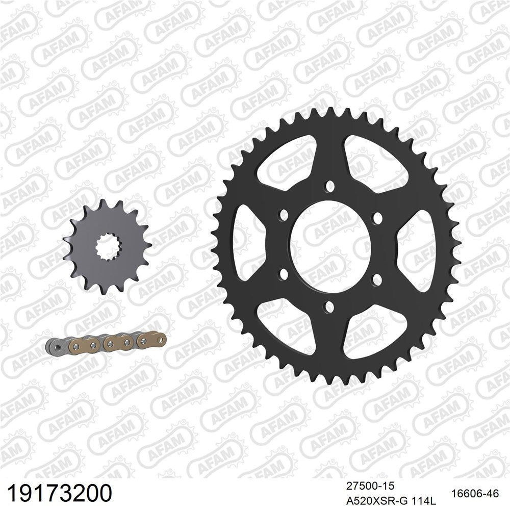AFAM AFKIT103442 A520XSR-G 114L Chain & 15-46T Steel Sprocket Kit for Kawasaki KLR650 06-14