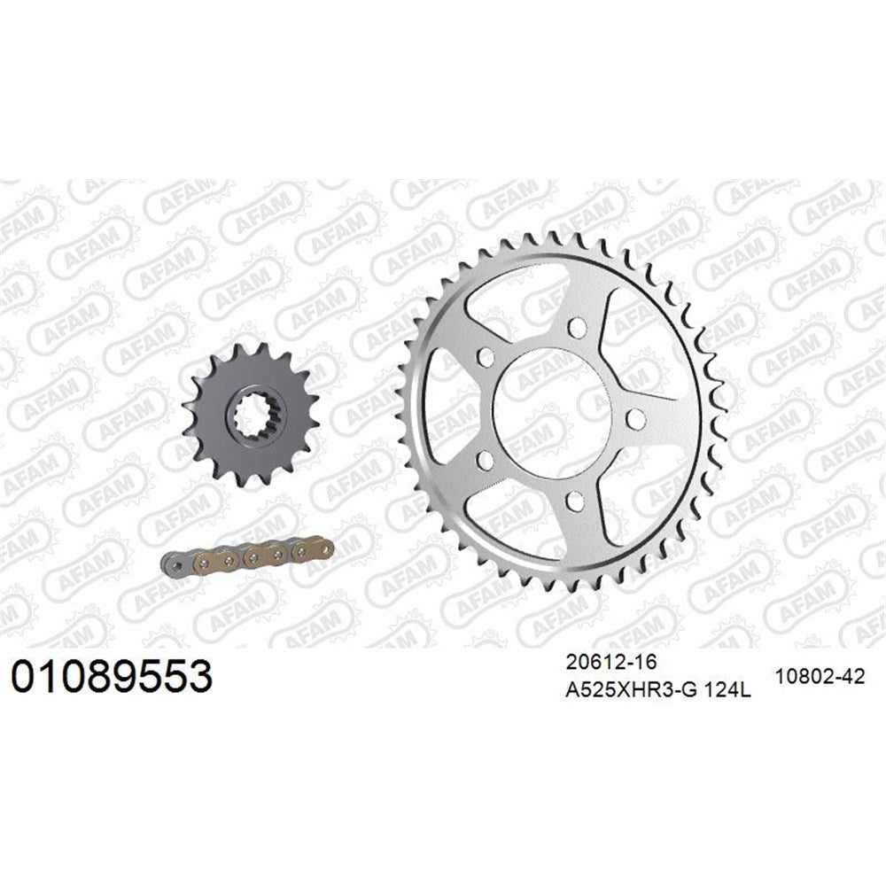 AFAM AFKIT103831 A525XHR3-G 124L Chain & 16-42T Steel Sprocket Kit for Kawasaki Vulcan S 650 15-25