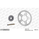 AFAM AFKIT103831 A525XHR3-G 124L Chain & 16-42T Steel Sprocket Kit for Kawasaki Vulcan S 650 15-25