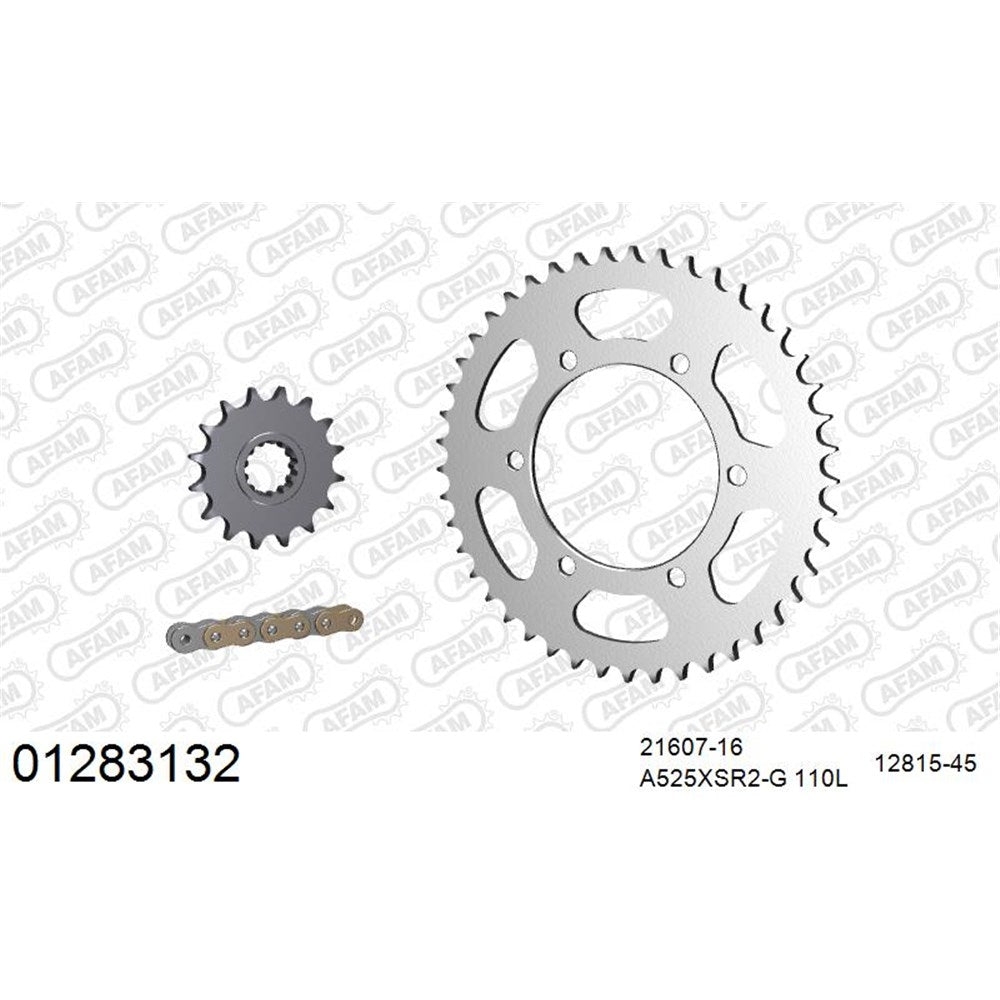 AFAM AFKIT104111 A525XSR2-G 110L Chain & 16-45T Steel Sprocket Kit for Suzuki GSF650/GSX650 07-16