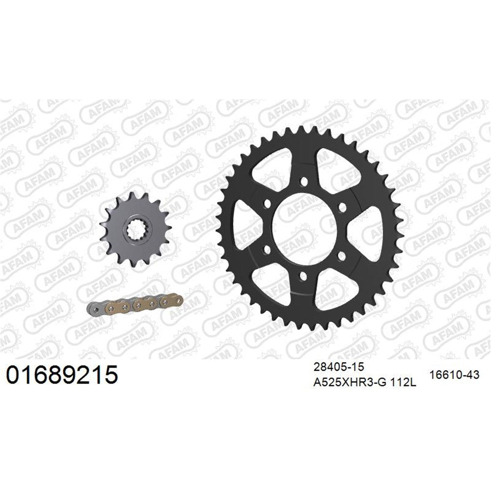 AFAM AFKIT104351 A525XHR3-G 112L Chain & 16-43T Steel Sprocket Kit for Triumph Tiger 850/900 21-25