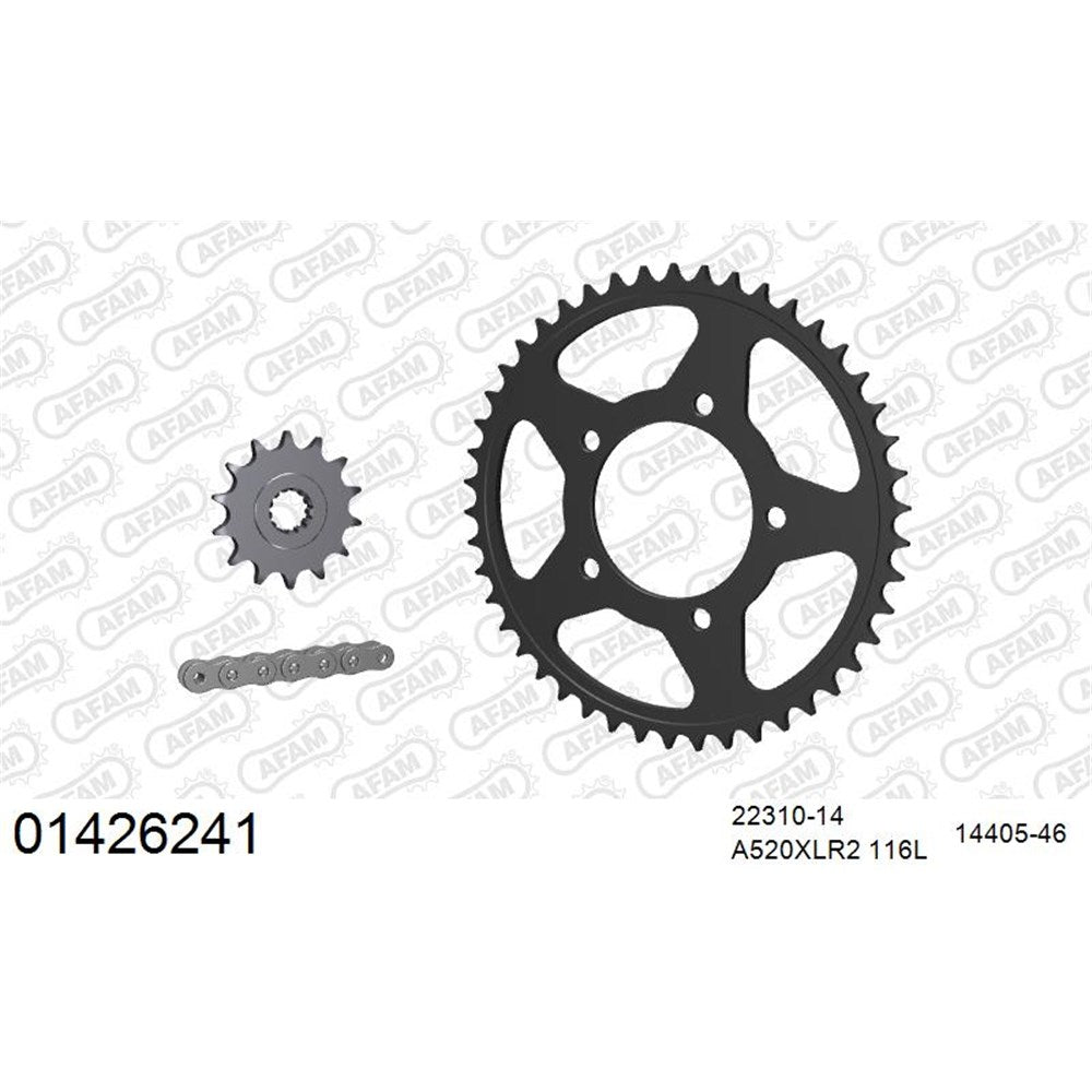 AFAM AFKIT104371 A520XRR3-G 116L Chain & 14-46T Steel Sprocket Kit for Suzuki GSX-S950/1000 15-25