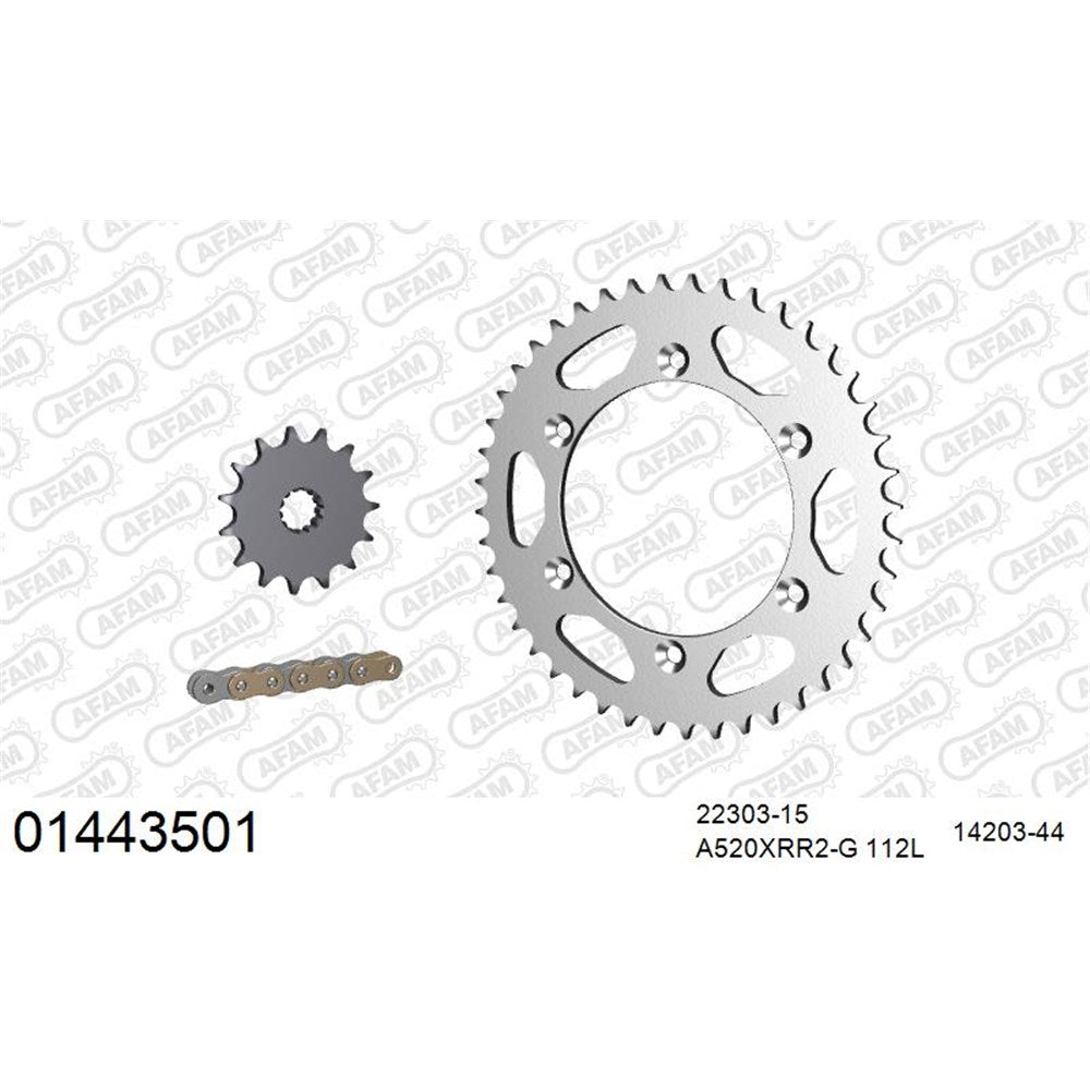 AFAM AFKIT104631 A520XRR3-G 112L Chain & 15-44T Steel Sprocket Kit for Kawasaki Z1000 Models 14-20