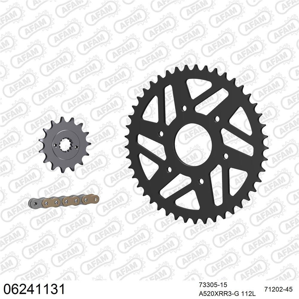 AFAM AFKIT105541 A520XRR3-G 112L Chain & 15-45T Steel Sprocket Kit for Ducati 800 Scrambler 15-21