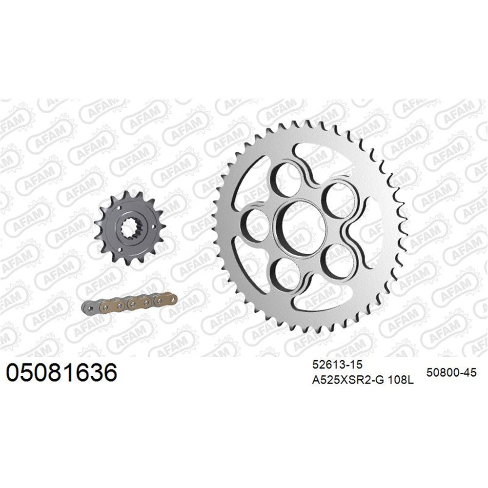AFAM AFKIT107811 A525XSR2-G 108L Chain & 16-46T Steel Sprocket Kit for Triumph Scrambler 865/Thruxton 865 04-14