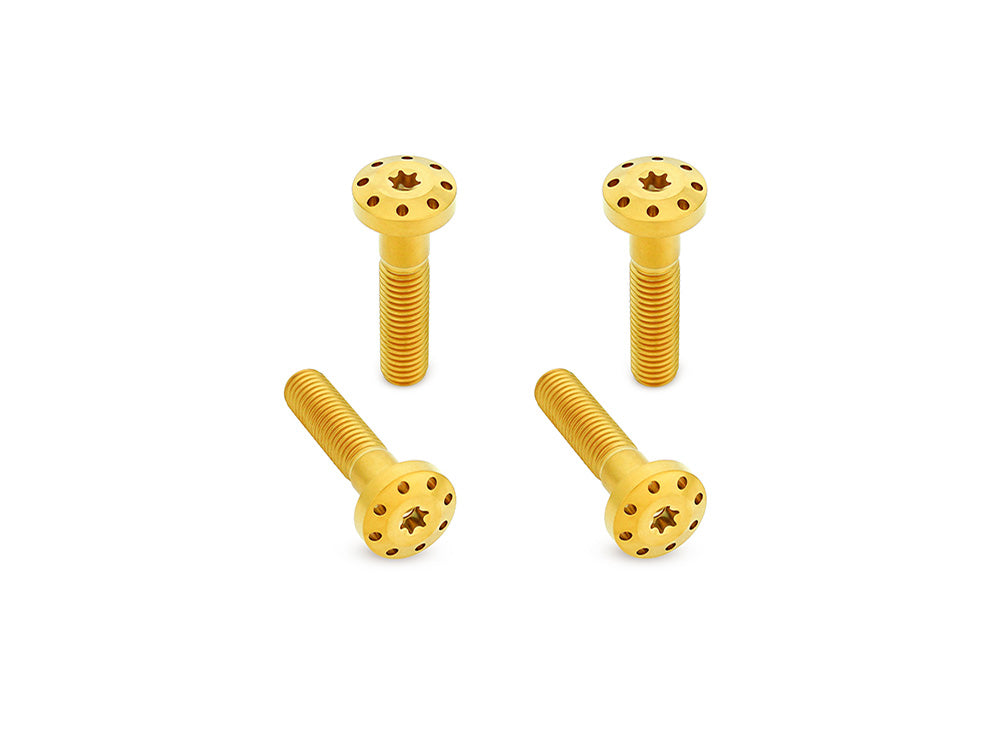 Arlen Ness AN-300-748 Titanium Holeshot Shock Absorber Bolt Kit Gold for Harley-Davidson Touring 99-Up