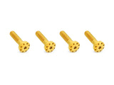 Arlen Ness AN-300-748 Titanium Holeshot Shock Absorber Bolt Kit Gold for Harley-Davidson Touring 99-Up