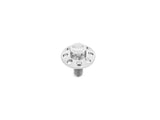 Arlen Ness AN-300-749 Titanium 12-Point 1/4"-20 Seat Mount Screw Polished for Harley-Davidson 96-Up