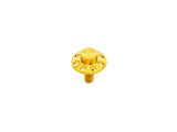 Arlen Ness AN-300-751 Titanium 12-Point 1/4"-20 Seat Mount Screw Gold for Harley-Davidson 96-Up