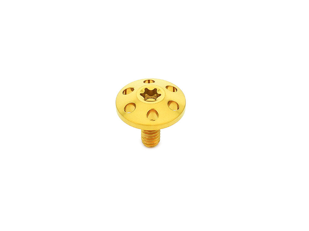 Arlen Ness AN-300-754 Titanium Holeshot 1/4"-20 Seat Mount Screw Gold for Harley-Davidson 96-Up