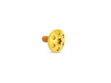 Arlen Ness AN-300-754 Titanium Holeshot 1/4"-20 Seat Mount Screw Gold for Harley-Davidson 96-Up