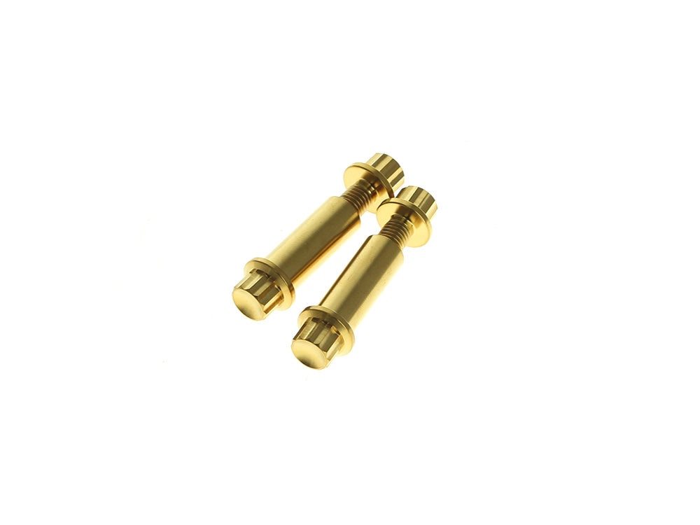 Arlen Ness AN-300-802 Titanium 12-Point Footpeg Mounting Hardware Gold for H-D Male Mount Footpegs