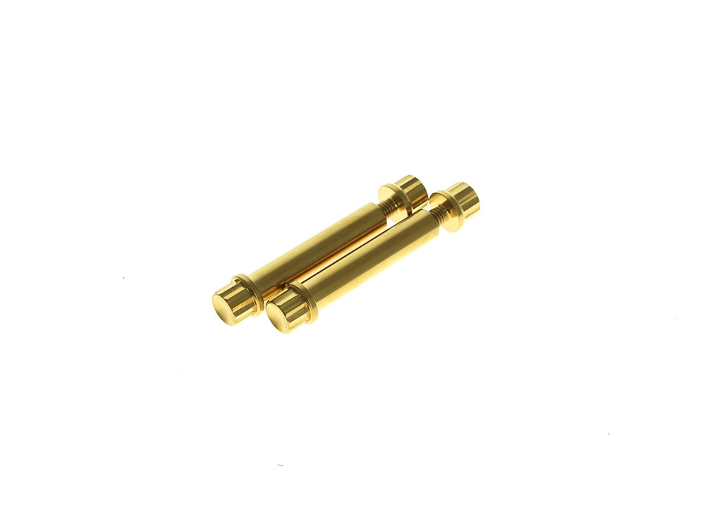 Arlen Ness AN-300-805 Titanium 12-Point Footpeg Mounting Hardware Gold for Harley-Davidson Softail 18-Up & Sportster S 21-Up