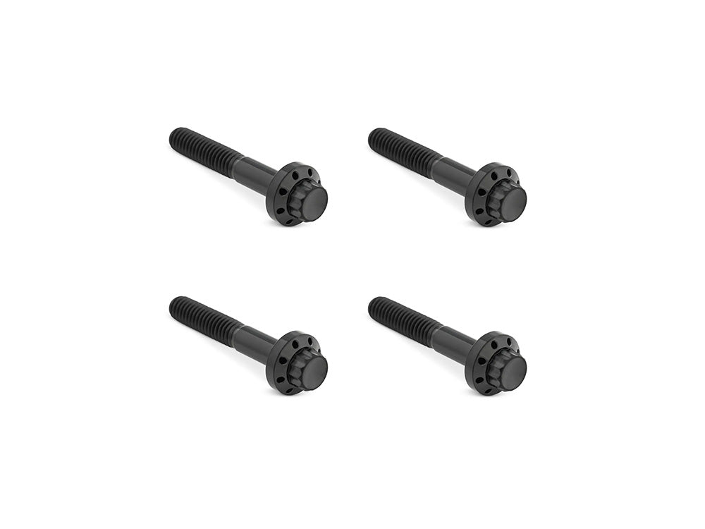 Arlen Ness AN-300-819 Titanium 12-Point Front Fender Mounting Hardware Black for Harley-Davidson Touring 09-Up