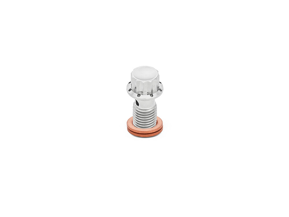 Arlen Ness AN-300-833 Titanium 12-Point 12mm M12 x 1.50 Banjo Bolt Polished