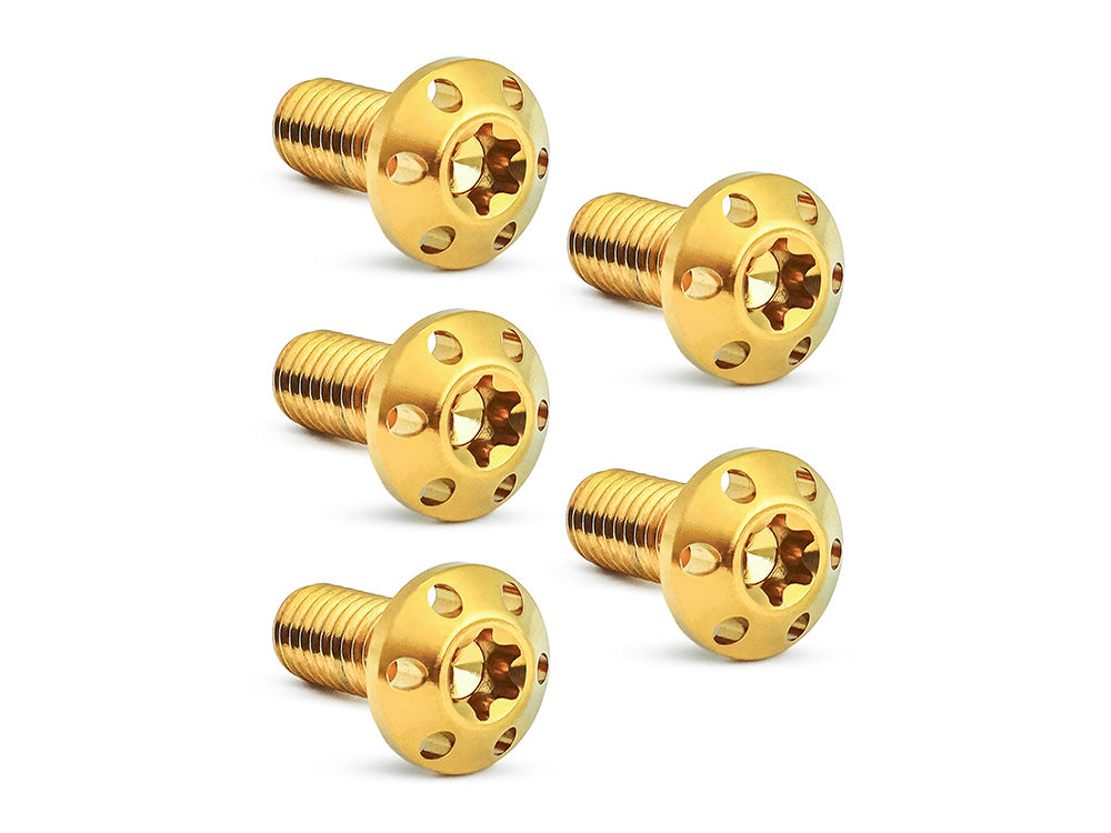 Arlen Ness AN-300-911 Titanium Rear Disc Rotor Bolts Gold for Harley-Davidson Big Twin 97-Up/Sportster 97-21