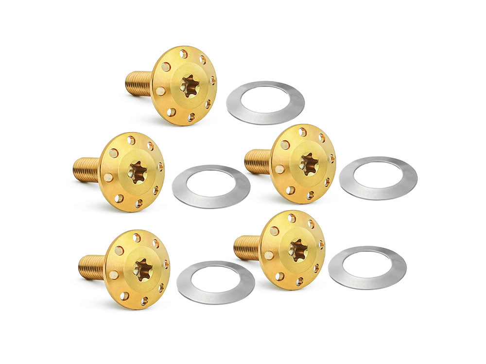 Arlen Ness AN-300-916 Titanium Holeshot Front Brake Rotor Bolts Gold for Street Glide/Road Glide 24-Up w/Spoke Mounted Disc/Sportster S 21-Up/Pan America 21-Up w/Cast Mag Wheel