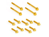 Arlen Ness AN-300-931 Titanium 12-Point Primary Cover Bolt Kit Gold for Harley-Davidson Softail 18-Up w/Non-240 Tyre