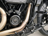 Arlen Ness AN-300-932 Titanium 12-Point Cam Cover Bolt Kit Polished for most Harley-Davidson Touring 17-24/Softail 18-24