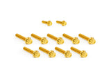 Arlen Ness AN-300-934 Titanium 12-Point Cam Cover Bolt Kit Gold for most Harley-Davidson Touring 17-24/Softail 18-24