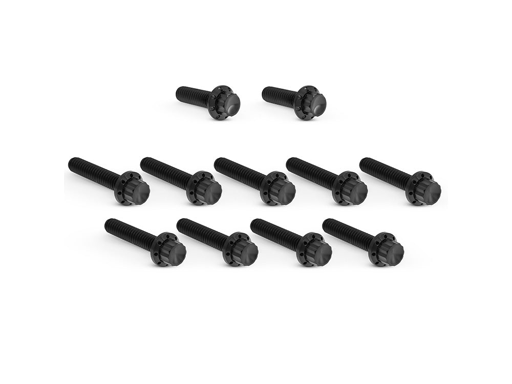 Arlen Ness AN-300-981 Titanium 12-Point Cam Cover Bolt Kit Black for Harley-Davidson CVO Touring 23-Up/Street Glide/Road Glide 24-Up/Touring/Softail 25-Up