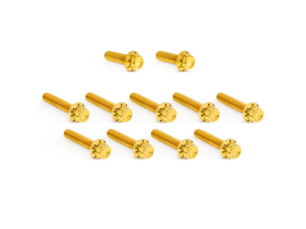 Arlen Ness AN-300-982 Titanium 12-Point Cam Cover Bolt Kit Gold for Harley-Davidson CVO Touring 23-Up/Street Glide/Road Glide 24-Up/Touring/Softail 25-Up