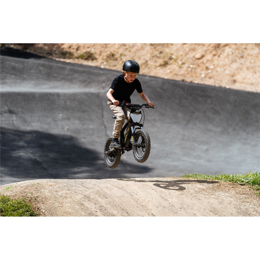 Azonic Flow 16 24V/5Ah/350W Electric Balance Bike Black/Gold