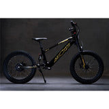 Azonic Flow 20 36V/7.2Ah/750W Electric Balance Bike Black/Gold