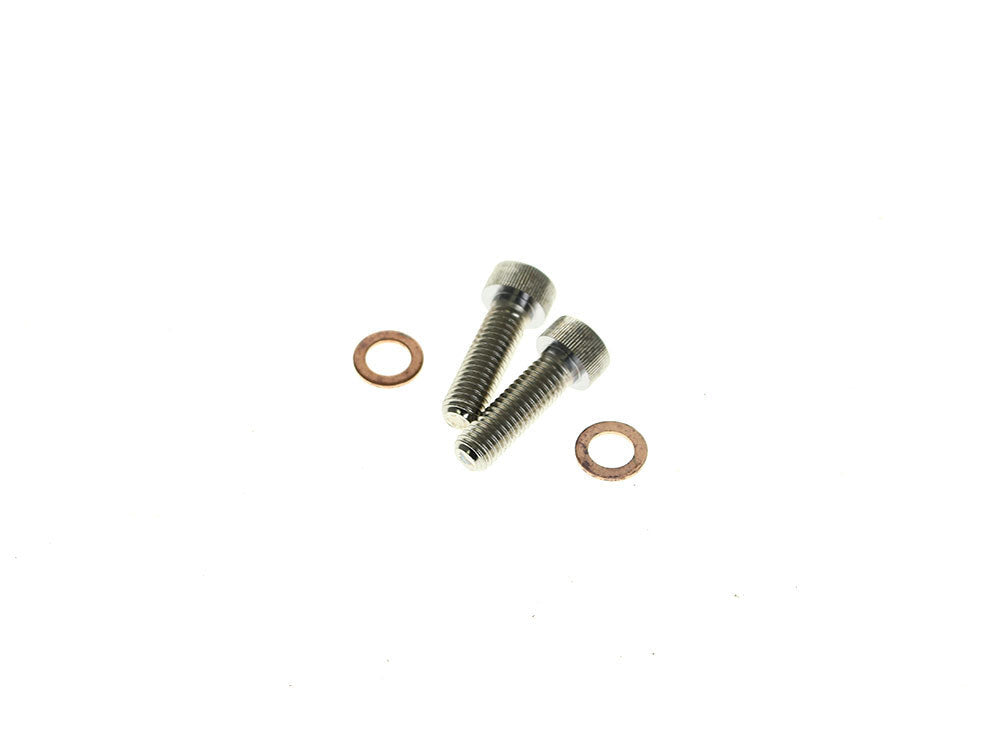 RSS BAI-C23-0237NU-2 Damper Tube Screw & Washer Set for Showa Forks for most Big Twin 75-17 & Sportster 87-21