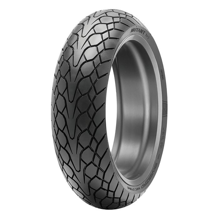 Dunlop Mutant Rear Tyre 170/60 ZR-17 72W M+S Tubeless