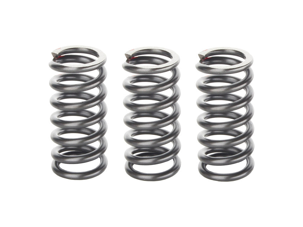 Energy One Performance Clutches E1-CVS-13 Clutch Springs for CVO Big Twin 13-Up/S Models 16-Up/Milwaukee-Eight Touring 17-Up/Softail 18-Up