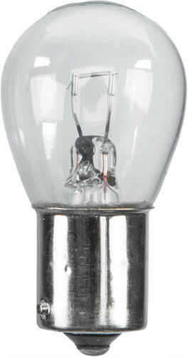 Emgo E4866812 Replacement 12V 32CP (25 Watts) Bulb for Turn Light Lights (Box of 10)