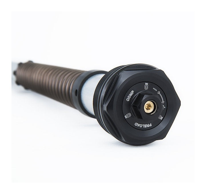 Ohlins FKS 211 NIX 22 Series Front Fork Cartridge Kit for BMW R Nine T Urban G/S 17-21/Scrambler 19-21